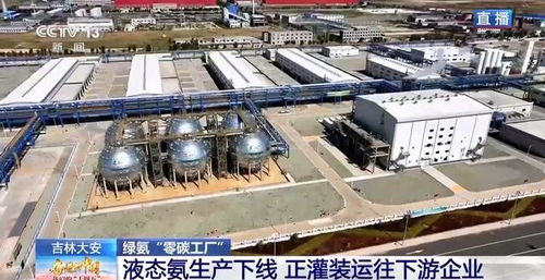 零碳工廠 新能源“就地生金”，全鏈條綠色消納體系引領未來